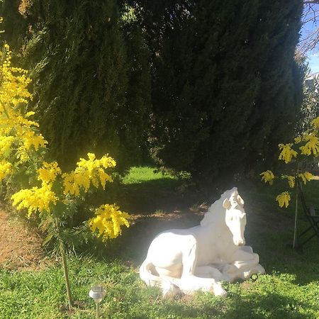 B&B Mas Les Lecques Beaucaire  Eksteriør billede
