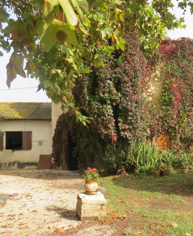 B&B Mas Les Lecques Beaucaire  Eksteriør billede