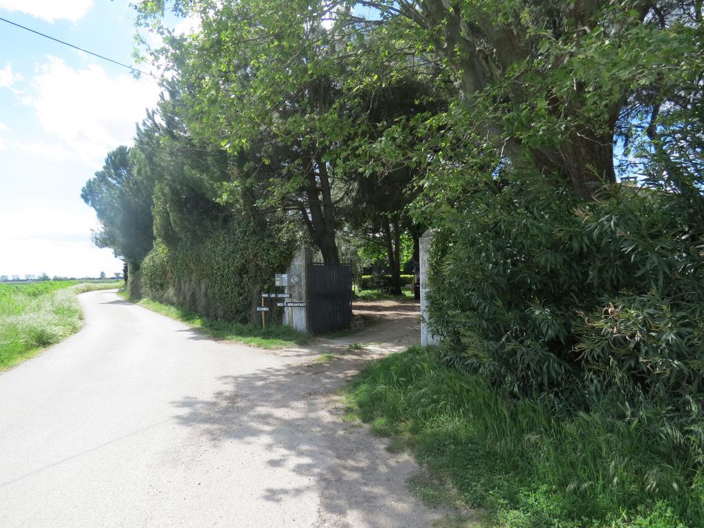 B&B Mas Les Lecques Beaucaire  Eksteriør billede