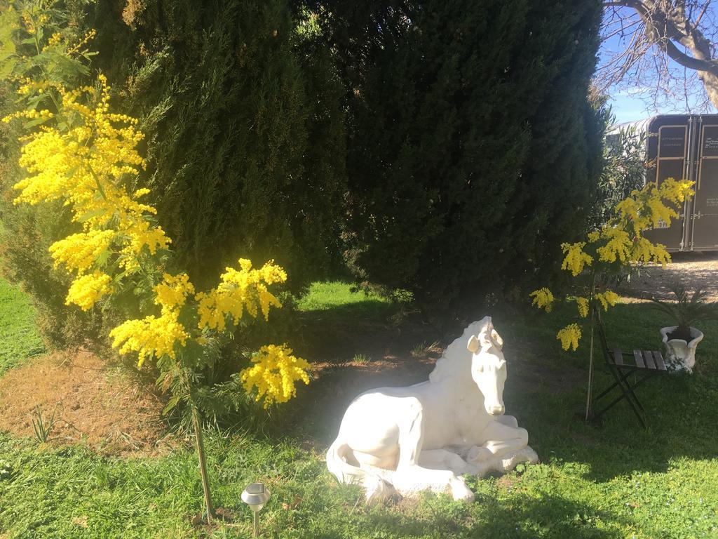 B&B Mas Les Lecques Beaucaire  Eksteriør billede